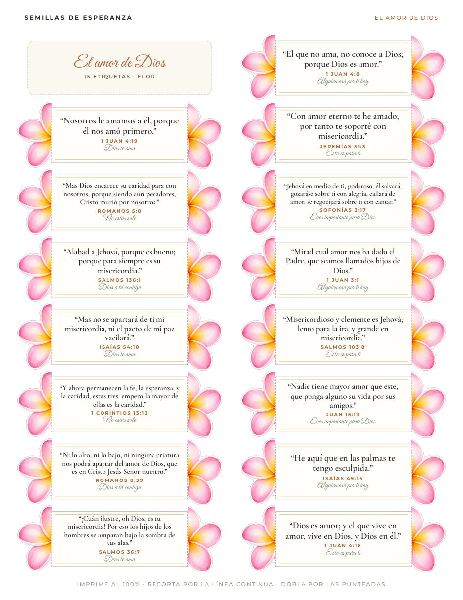 Página de etiquetas