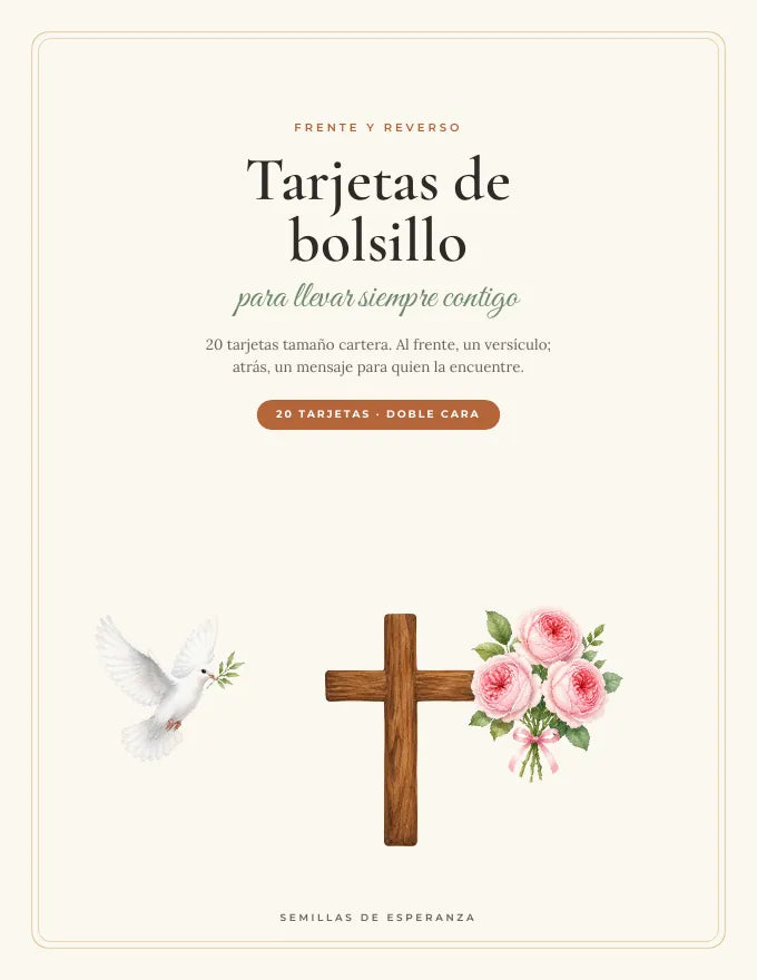 Tarjetas de bolsillo