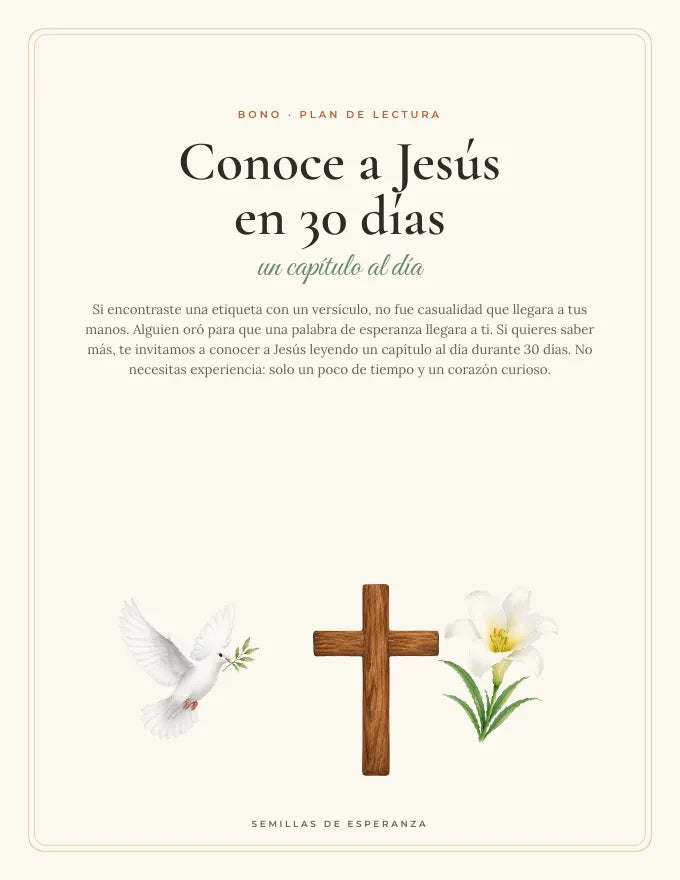 Plan de lectura