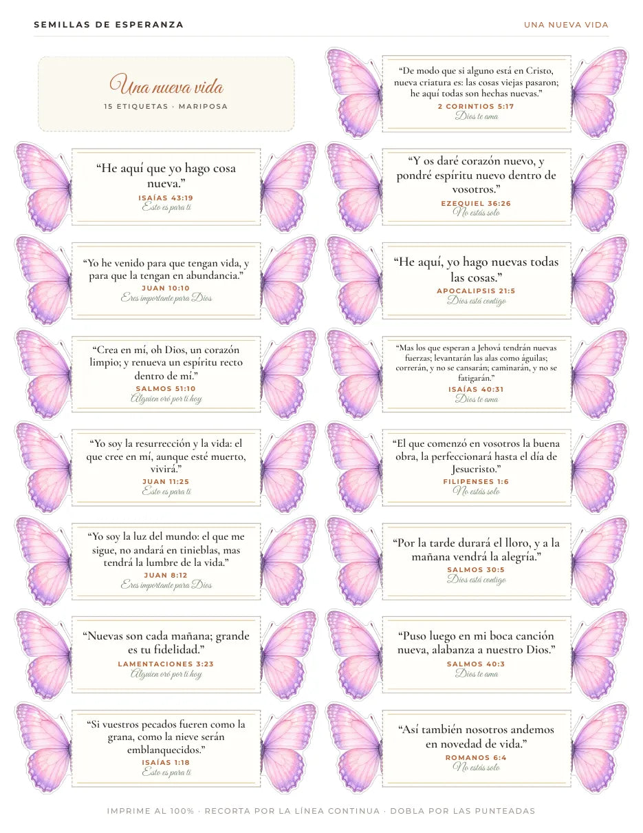 Etiquetas de mariposa
